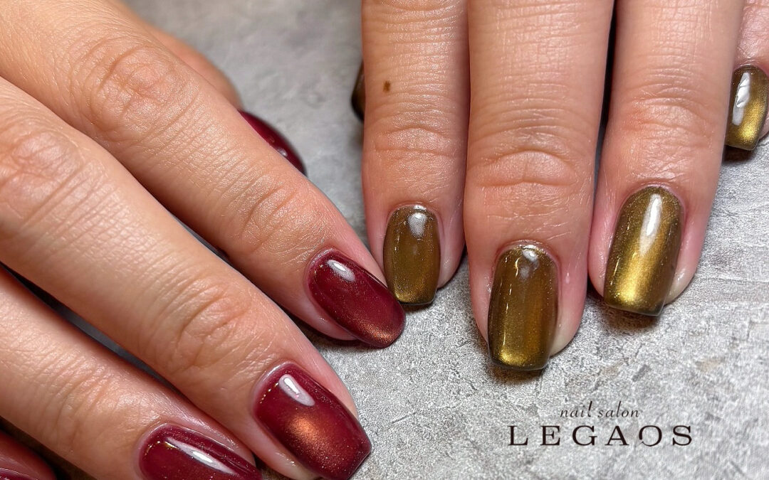 限定マグネットカラー